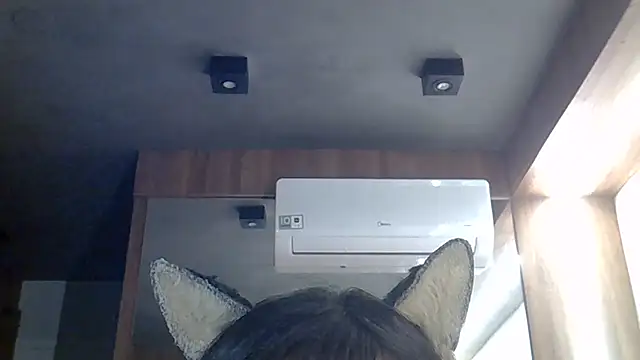 SkinnyKitten webcam
