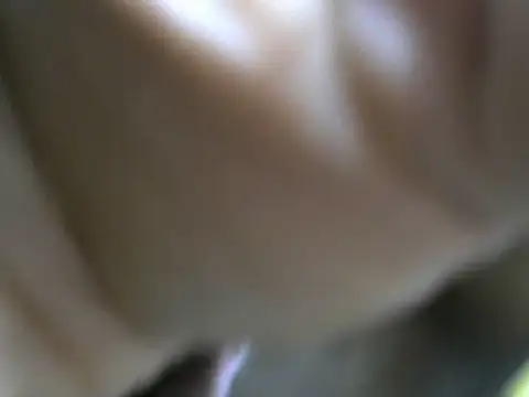 playfullnova webcam