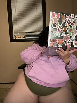 Tillymarie webcam