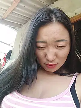 zhen-zo webcam