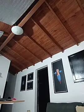 SilvaBranko webcam