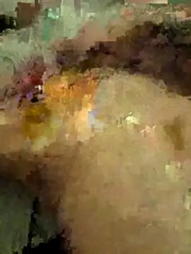 Icepappi webcam