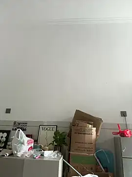 daaqnn webcam