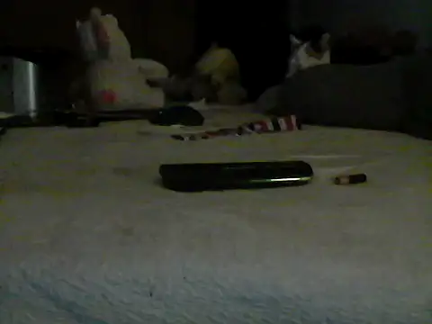 Silencio26 webcam