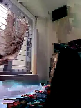 sree200 webcam