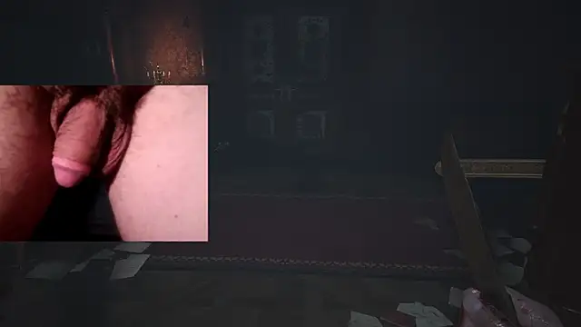 WARDOX5 webcam