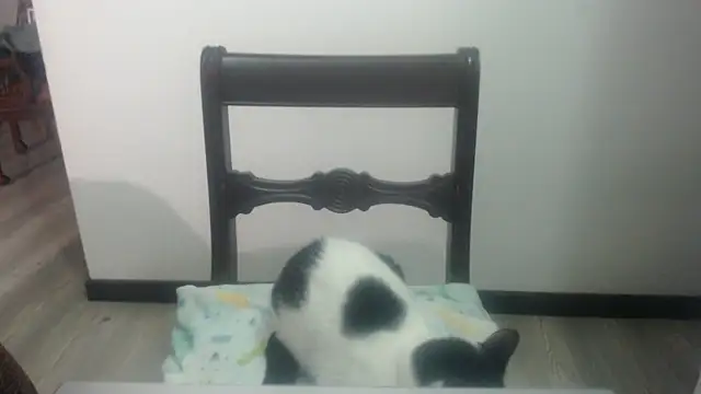 sabrina_v_ webcam