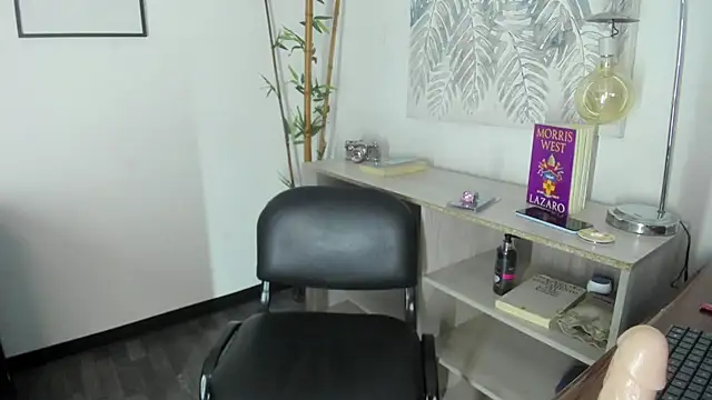 Sky_Collins_ webcam