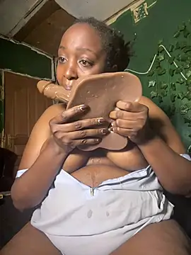 Sollybunny webcam