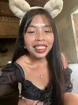 Hikomy- webcam