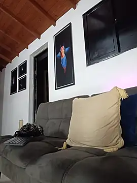SilvaBranko webcam