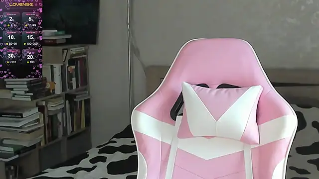bbJ_one webcam