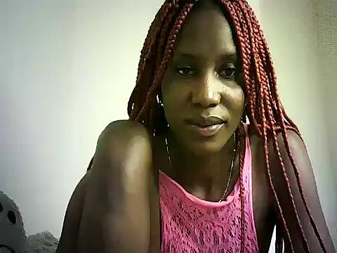DelteAfriq webcam
