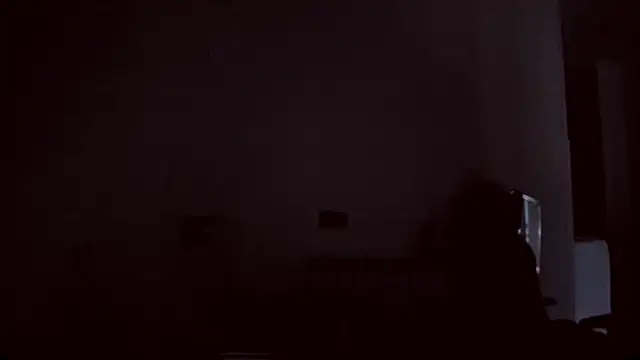 Lyricca webcam