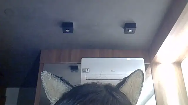 SkinnyKitten webcam