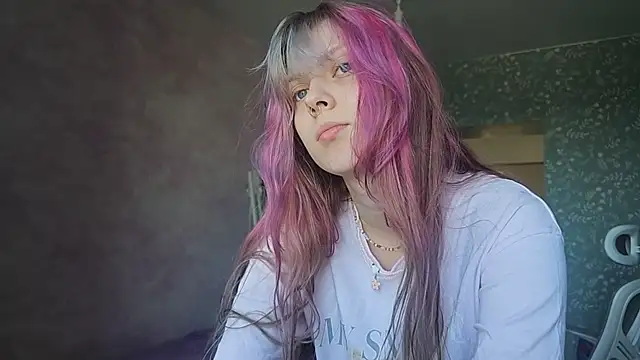 CowledScript webcam
