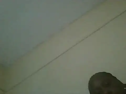 collily webcam