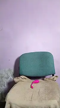 MIlan333X webcam