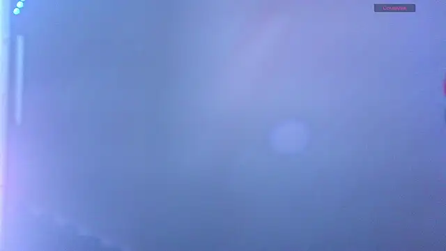 the_dog_lian webcam