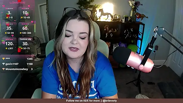 Briieverly webcam