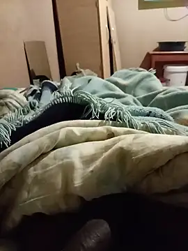 Bobbymotseki webcam