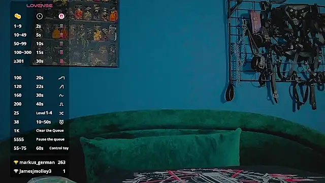 Serve_to_Alexa webcam