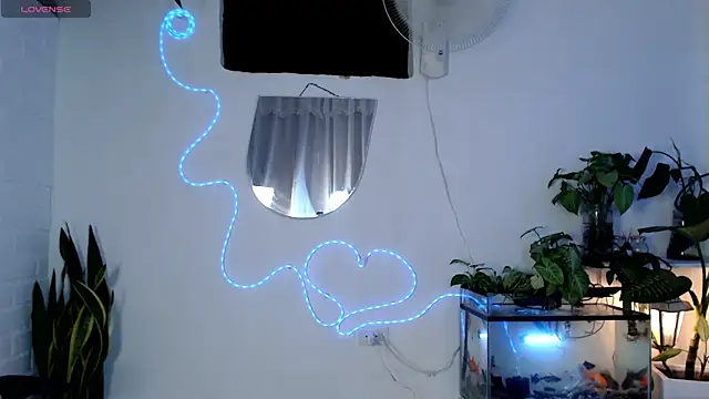 Magnuz_Col webcam
