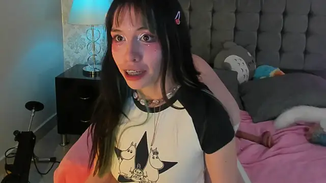 kitticam webcam