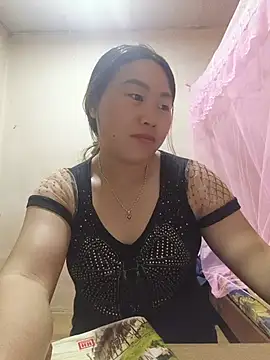 he-se-kin webcam