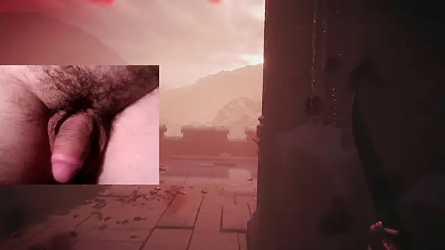 WARDOX5 webcam