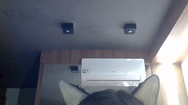 SkinnyKitten webcam