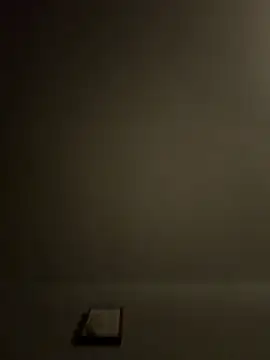 Jay2brickedd