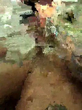 Icepappi webcam