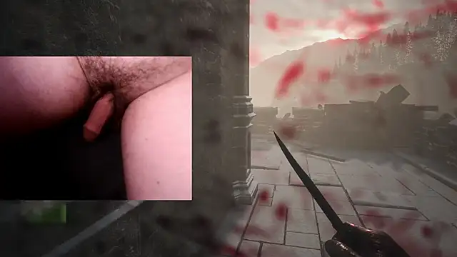 WARDOX5 webcam