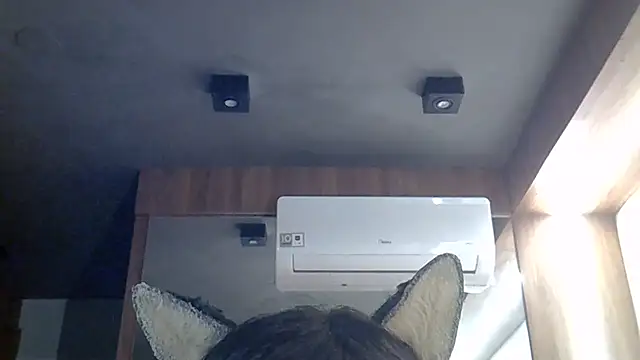SkinnyKitten webcam