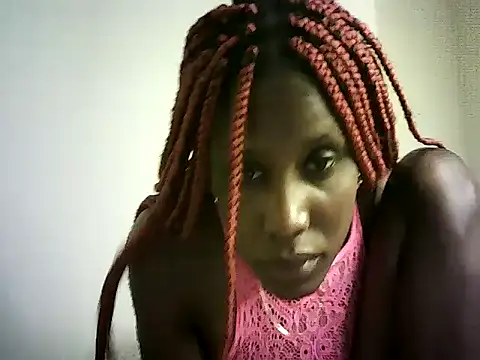 DelteAfriq webcam