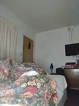 THEBEDroomdoOR webcam