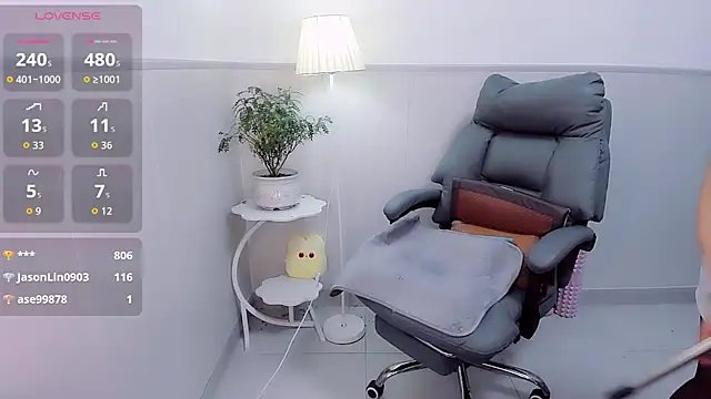 Wan-Yun-520 webcam
