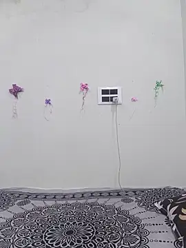 silkyhairs webcam