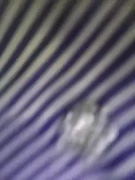 MisyonerNur