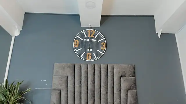 Robin_Rief webcam