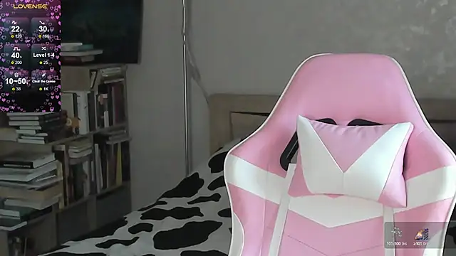 bbJ_one webcam