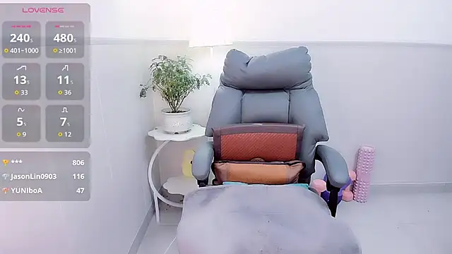 Wan-Yun-520 webcam