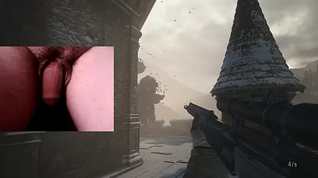 WARDOX5 webcam