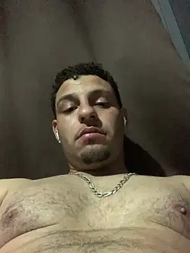 o-theus webcam