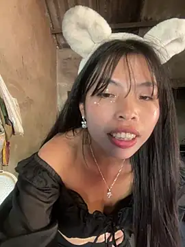 Hikomy- webcam