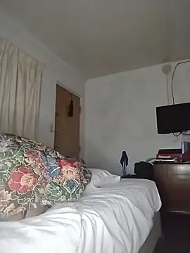 THEBEDroomdoOR webcam