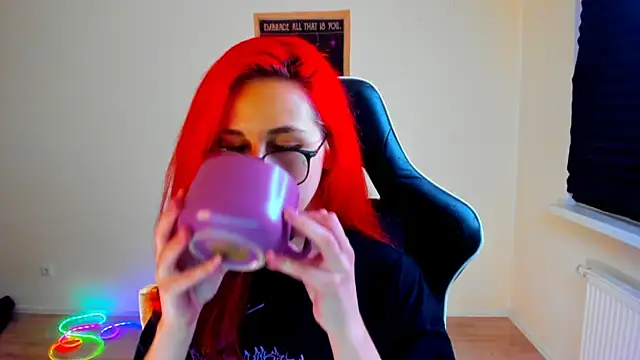 your_tora webcam