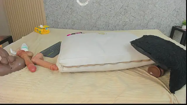 Antonella_west webcam