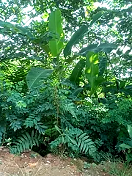 Elena_Mia webcam